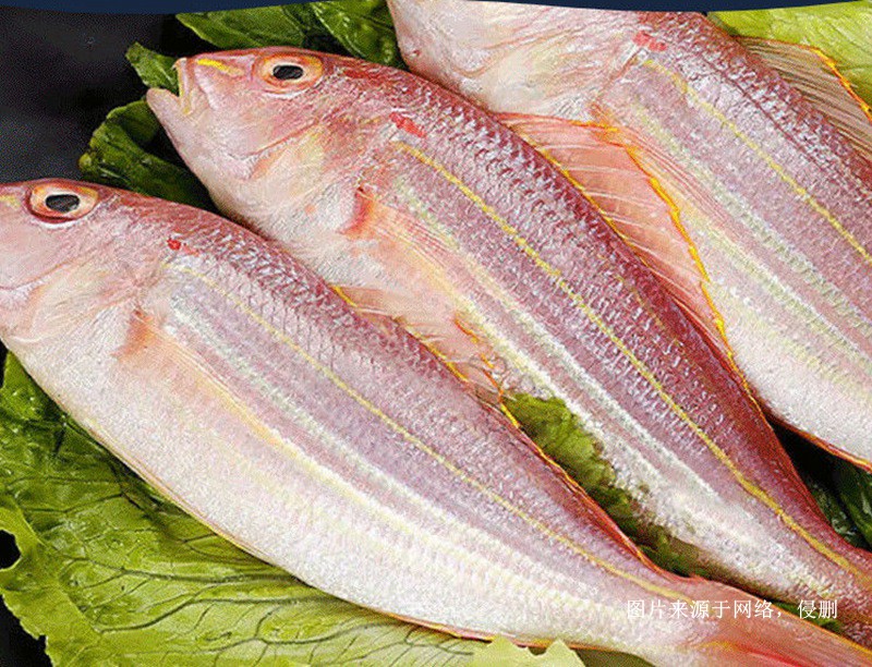 越南冷凍金線魚進(jìn)口報關(guān)流程海運(yùn)到上海外高橋案例